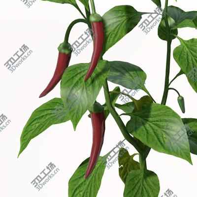 images/goods_img/2021040231/XfrogPlants Agriculture/4.jpg